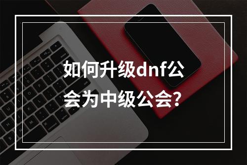 如何升级dnf公会为中级公会？