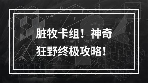 脏牧卡组！神奇狂野终极攻略！