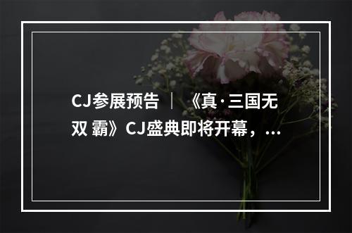 CJ参展预告 ｜ 《真·三国无双 霸》CJ盛典即将开幕，女神coser为你起舞，海量福利轻松拿！--安卓攻略网