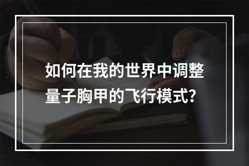 如何在我的世界中调整量子胸甲的飞行模式？