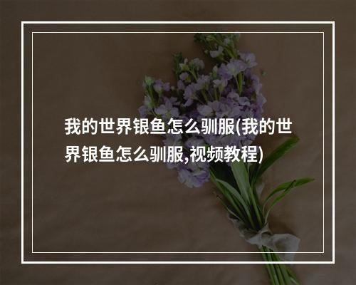 我的世界银鱼怎么驯服(我的世界银鱼怎么驯服,视频教程)