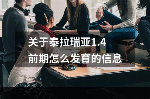 关于泰拉瑞亚1.4前期怎么发育的信息