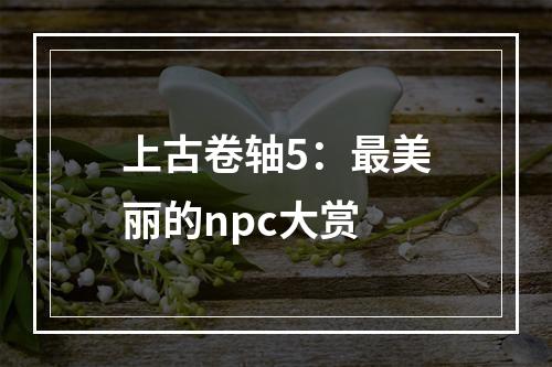 上古卷轴5：最美丽的npc大赏