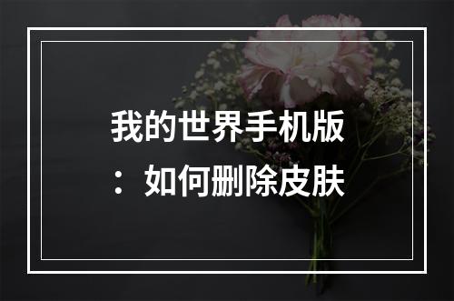 我的世界手机版：如何删除皮肤