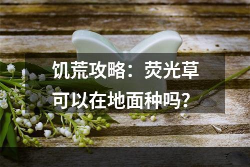 饥荒攻略：荧光草可以在地面种吗？