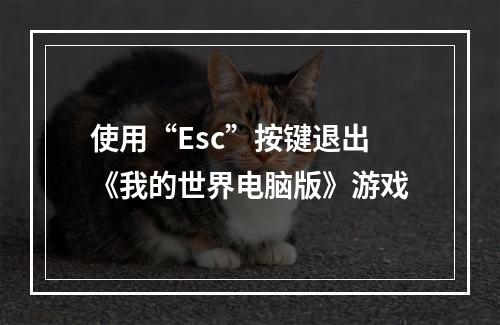 使用“Esc”按键退出《我的世界电脑版》游戏