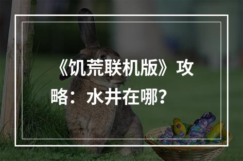 《饥荒联机版》攻略：水井在哪？