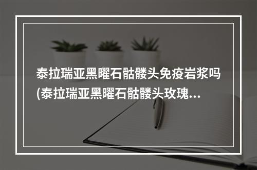 泰拉瑞亚黑曜石骷髅头免疫岩浆吗(泰拉瑞亚黑曜石骷髅头玫瑰可以合成什么)