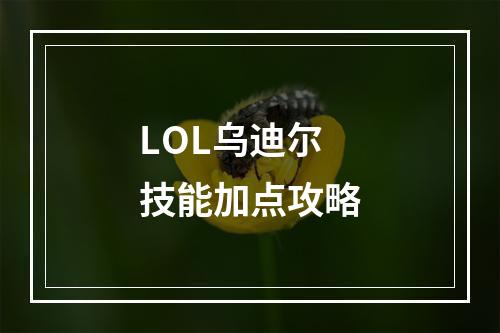 LOL乌迪尔技能加点攻略