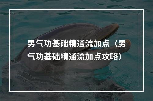 男气功基础精通流加点（男气功基础精通流加点攻略）