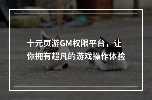 十元页游GM权限平台，让你拥有超凡的游戏操作体验