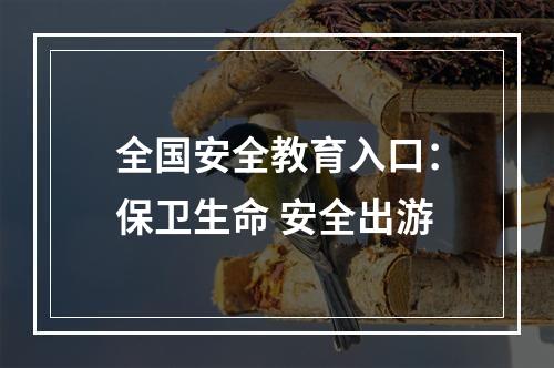 全国安全教育入口：保卫生命 安全出游