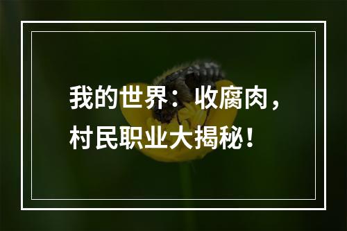 我的世界：收腐肉，村民职业大揭秘！