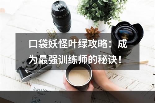 口袋妖怪叶绿攻略：成为最强训练师的秘诀！