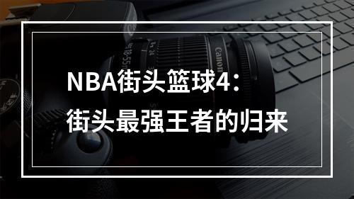 NBA街头篮球4：街头最强王者的归来