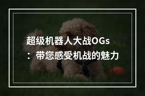 超级机器人大战OGs：带您感受机战的魅力