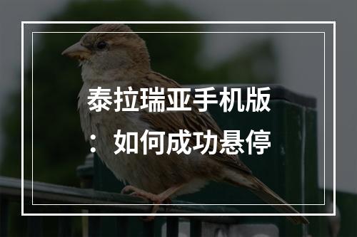 泰拉瑞亚手机版：如何成功悬停