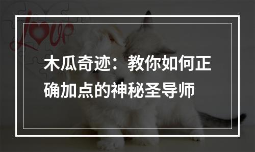 木瓜奇迹：教你如何正确加点的神秘圣导师