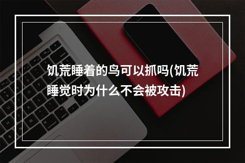 饥荒睡着的鸟可以抓吗(饥荒睡觉时为什么不会被攻击)