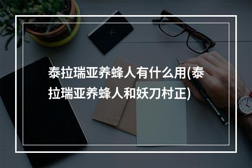 泰拉瑞亚养蜂人有什么用(泰拉瑞亚养蜂人和妖刀村正)