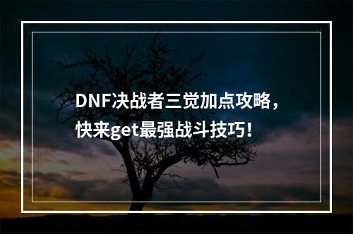 DNF决战者三觉加点攻略，快来get最强战斗技巧！