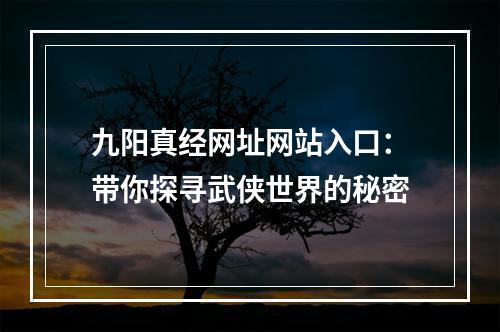 九阳真经网址网站入口：带你探寻武侠世界的秘密