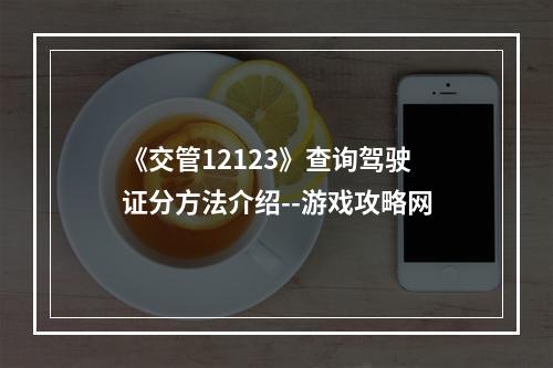 《交管12123》查询驾驶证分方法介绍--游戏攻略网