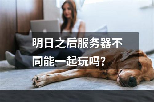 明日之后服务器不同能一起玩吗？