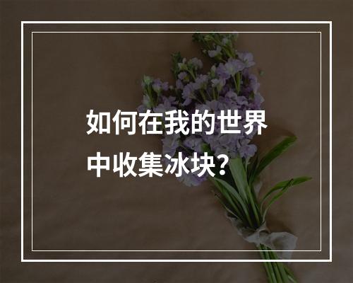 如何在我的世界中收集冰块？