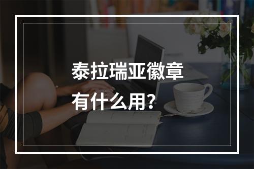 泰拉瑞亚徽章有什么用？