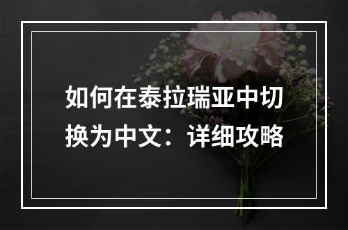 如何在泰拉瑞亚中切换为中文：详细攻略