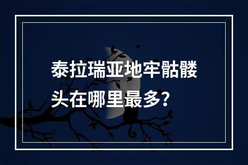 泰拉瑞亚地牢骷髅头在哪里最多？