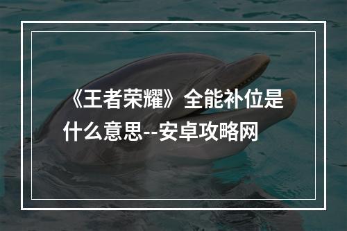 《王者荣耀》全能补位是什么意思--安卓攻略网