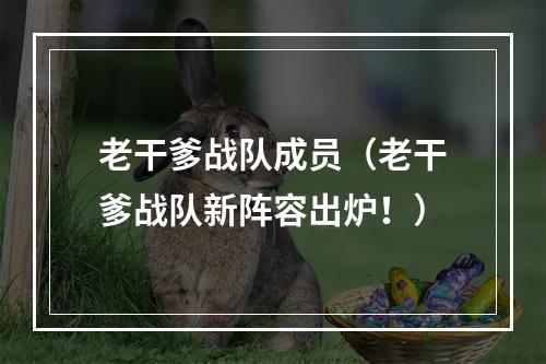 老干爹战队成员（老干爹战队新阵容出炉！）