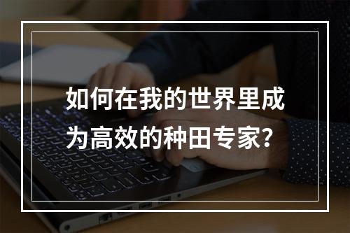 如何在我的世界里成为高效的种田专家？