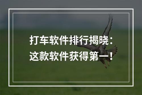 打车软件排行揭晓：这款软件获得第一！