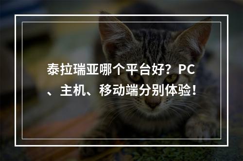 泰拉瑞亚哪个平台好？PC、主机、移动端分别体验！