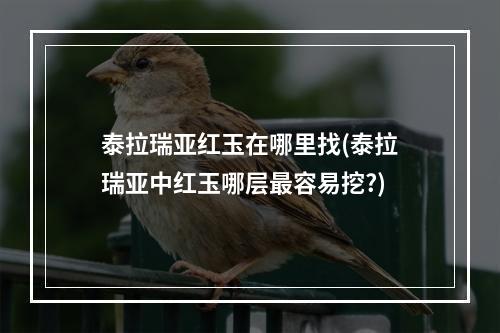 泰拉瑞亚红玉在哪里找(泰拉瑞亚中红玉哪层最容易挖?)