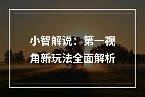 小智解说：第一视角新玩法全面解析