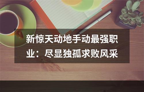 新惊天动地手动最强职业：尽显独孤求败风采