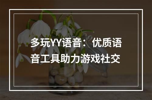 多玩YY语音：优质语音工具助力游戏社交