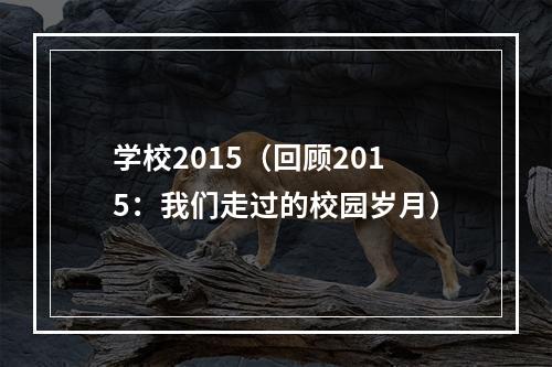 学校2015（回顾2015：我们走过的校园岁月）