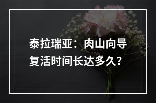 泰拉瑞亚：肉山向导复活时间长达多久？