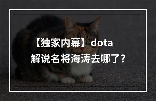 【独家内幕】dota解说名将海涛去哪了？