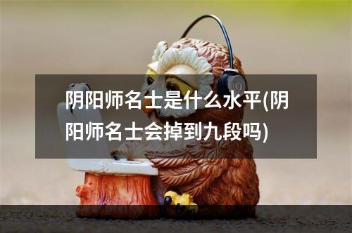 阴阳师名士是什么水平(阴阳师名士会掉到九段吗)