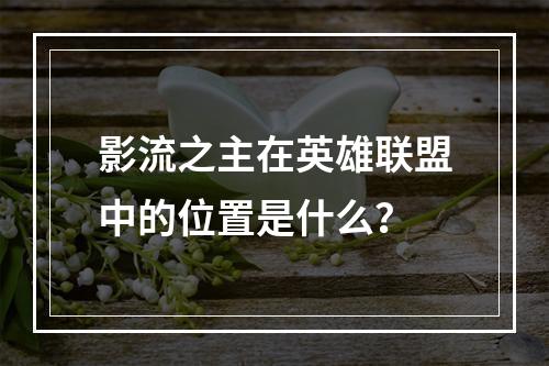 影流之主在英雄联盟中的位置是什么？