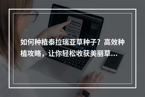 如何种植泰拉瑞亚草种子？高效种植攻略，让你轻松收获美丽草坪