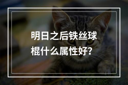 明日之后铁丝球棍什么属性好？