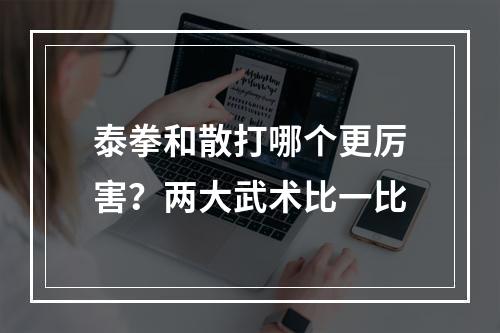 泰拳和散打哪个更厉害？两大武术比一比