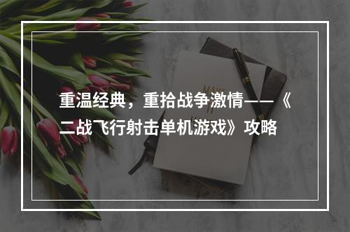 重温经典，重拾战争激情——《二战飞行射击单机游戏》攻略